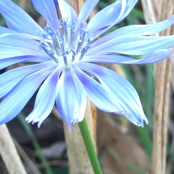 Meet your Posher, Sam - Picture 1 of 1